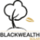 Black Wealth Enterprises Limited logo